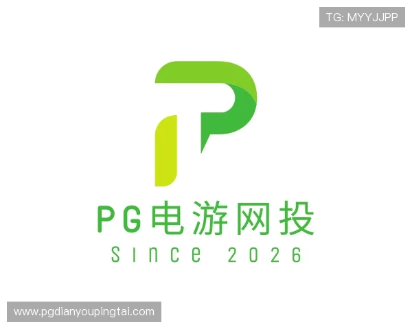 了解pg电游网投